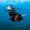 Schwarz / Hellkoralle,Negro / Coral Claro,Noir / Corail Clair,Nero / Corallo Chiaro,Black / Light Coral