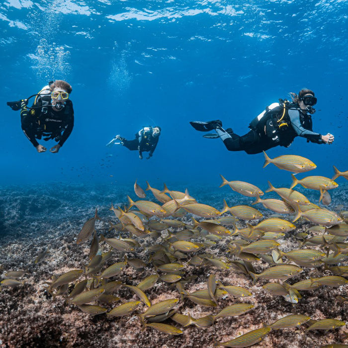 3. Ready to dive in? -